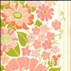 Pink Stripe with Flowers