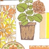 Potted Plants