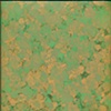 Green Dream