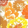 Orange Flowers