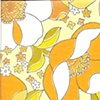 Hippie Orange Dream
