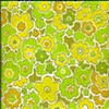 Funky Flowers