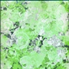 Green Powder Mylar