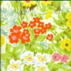 Garden Outside