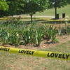 Lovely Caution
