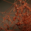 Untitled (material study)