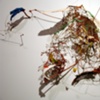 Rumination of Glitter and Glue
