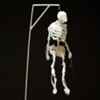  a model for the gallows glue 