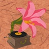 Victrolicus Lilius