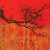 Rising Sun
