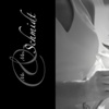 Wedding Photo Album