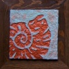Sealife Series 1
