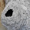 Nesting