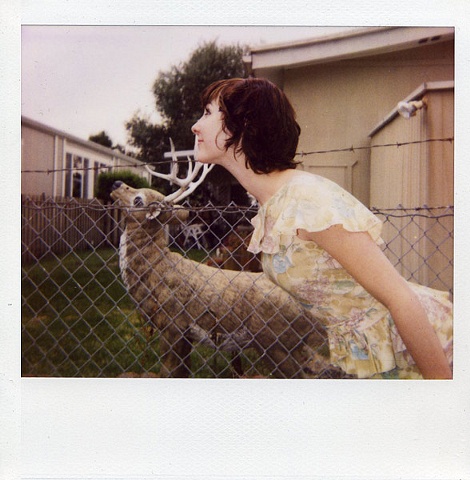 deer.