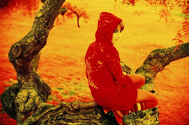 life on mars