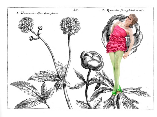flower.