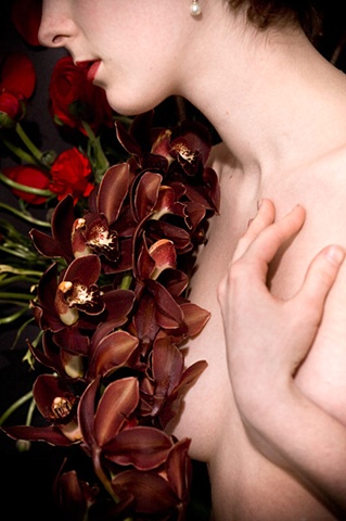 orchids.