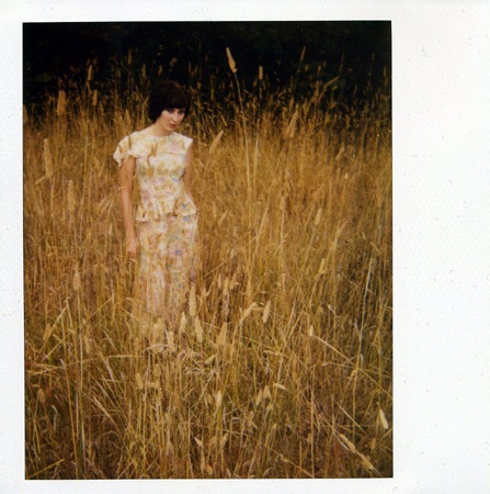reeds