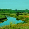river.