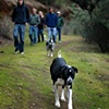 jackson leads the way