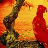 life on mars