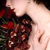 orchids.