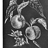 scratchboard 1