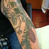 doug fir branch