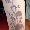 mums and plum blossoms