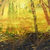 Fergus Dirt with Yellow Trees