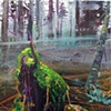 Stump
