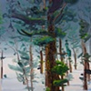 Trees in snow