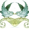 Bird Illustration 