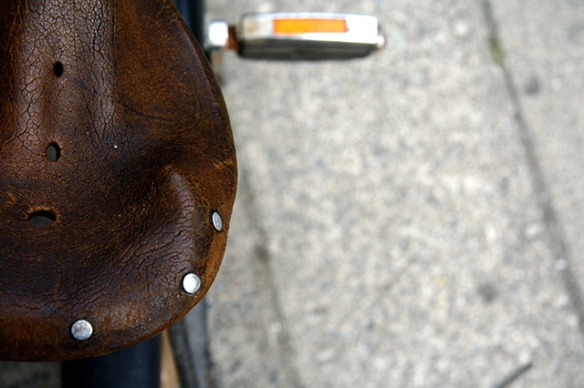 saddle