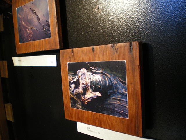 photography, art, unique, commission,