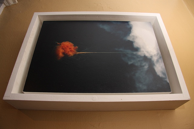 photography, art, unique, commission,