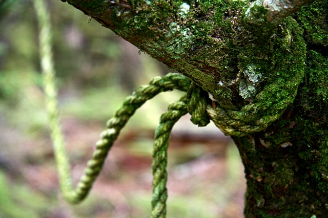 green rope