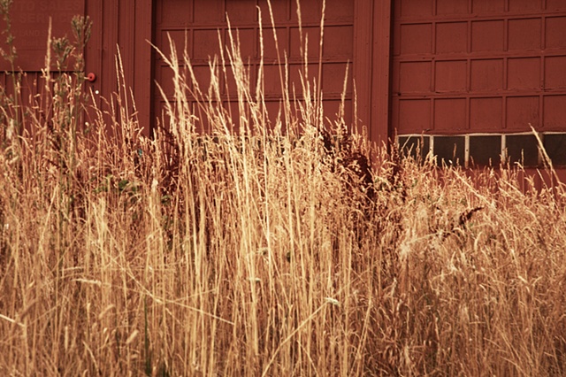 harvest with garage