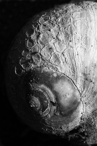 ancient