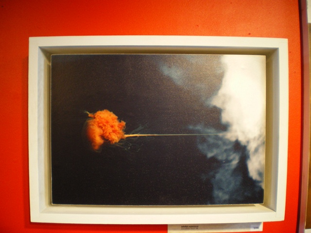 photography, art, unique,