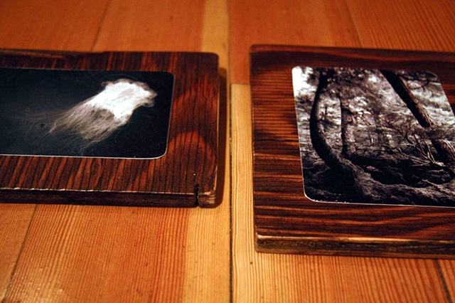 photography, art, unique, commission,