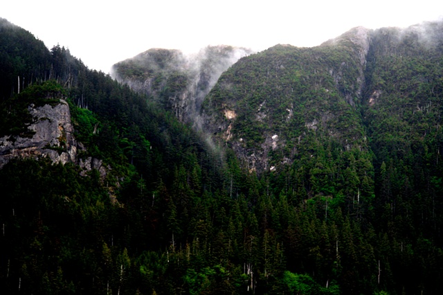 misty mountain hop