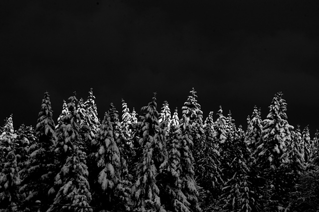 sliver II