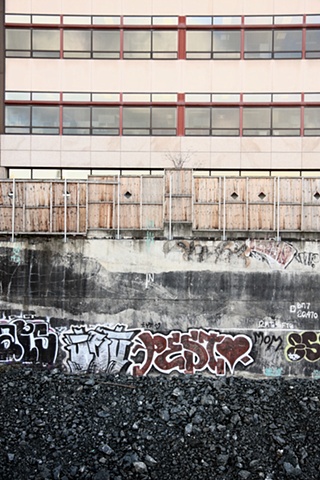 urban layercake and tree