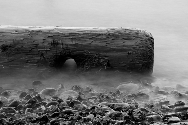 log in slow tide