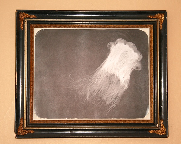 photography, art, unique,