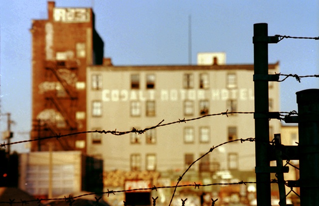 cobalt motor hotel