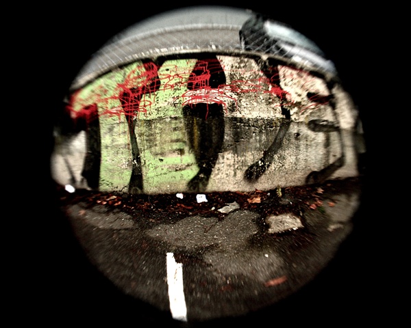 the, photograph