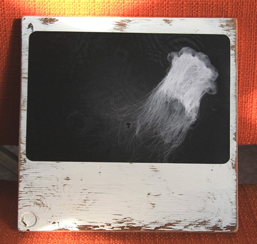 photography, art, unique, commission,
