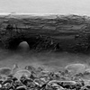 log in slow tide